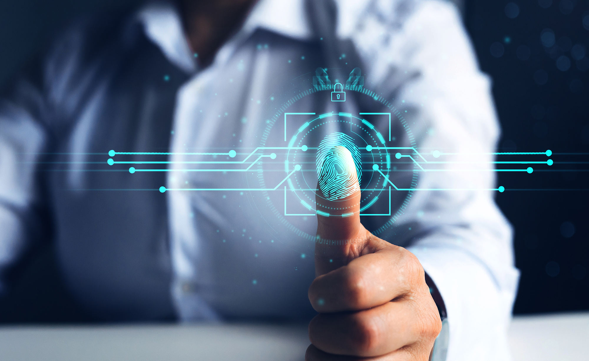 sistema identificacion